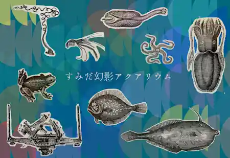 すみだ幻影アクアリウム