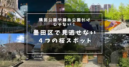 墨田区で花見するならココ！隅田公園と錦糸公園以外でも見逃せない４つの桜スポット