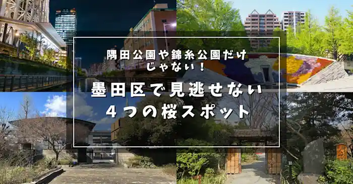 墨田区で花見するならココ！隅田公園と錦糸公園以外でも見逃せない４つの桜スポット