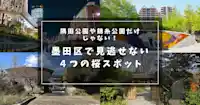 墨田区で花見するならココ！隅田公園と錦糸公園以外でも見逃せない４つの桜スポット