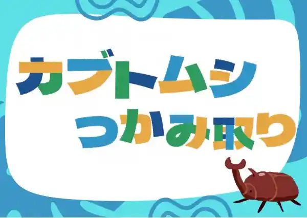 都会で自然体験！カブトムシを捕まえよう！（カメイドクロック・体験・アクティビティ）