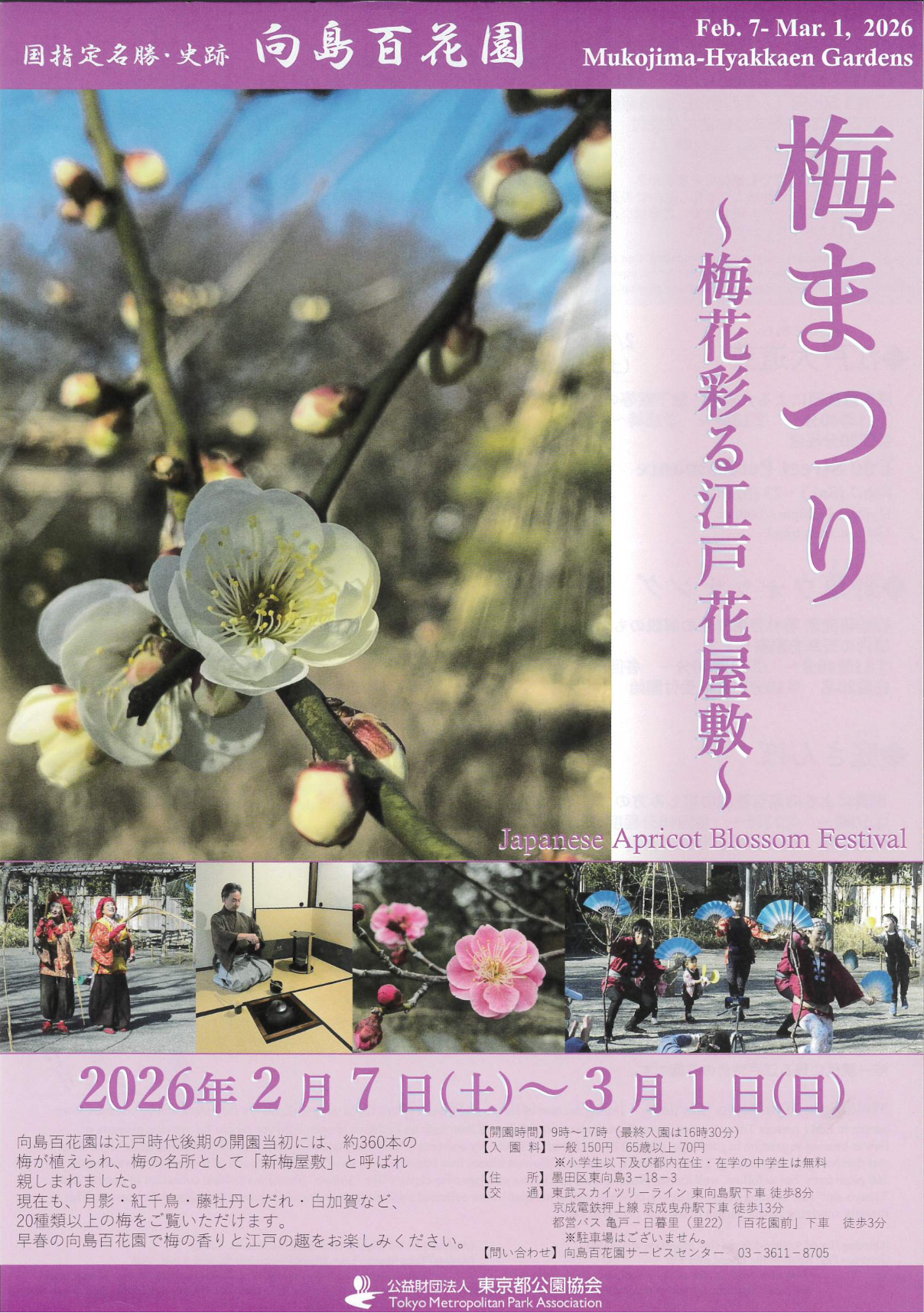 2026-02-07_向島百花園_梅まつり
