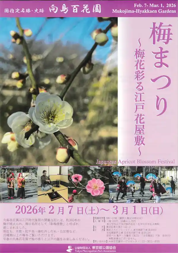 向島百花園「梅まつり」 2026