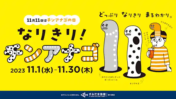 チンアナゴの日「なりきり！チンアナゴ」