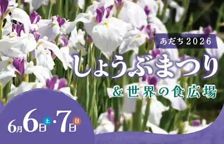 しょうぶまつり&世界の食広場