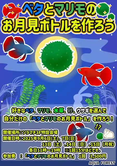 ワークショップ「ベタとマリモのお月見ボトルを作ろう」