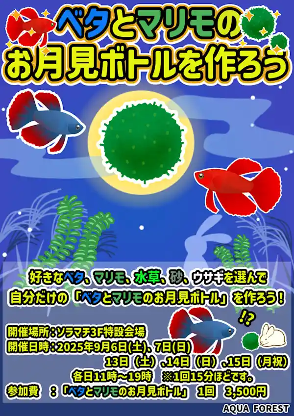 ワークショップ「ベタとマリモのお月見ボトルを作ろう」