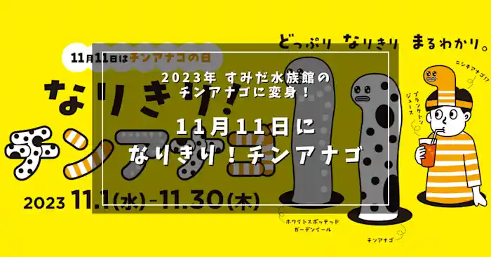 2023年 すみだ水族館のチンアナゴに変身！11月11日は「なりきりチンアナゴの日」