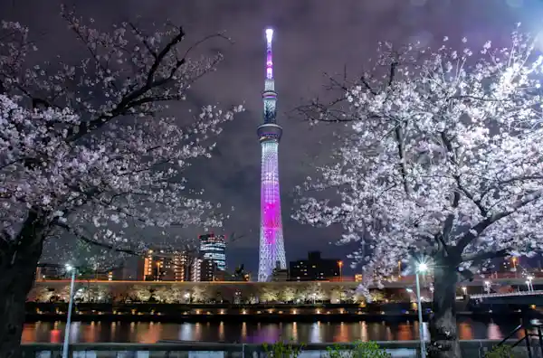 隅田公園桜まつり 2025