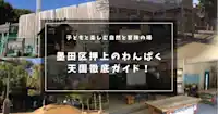 墨田区押上のわんぱく天国徹底ガイド！ 子どもと楽しむ自然と冒険の場