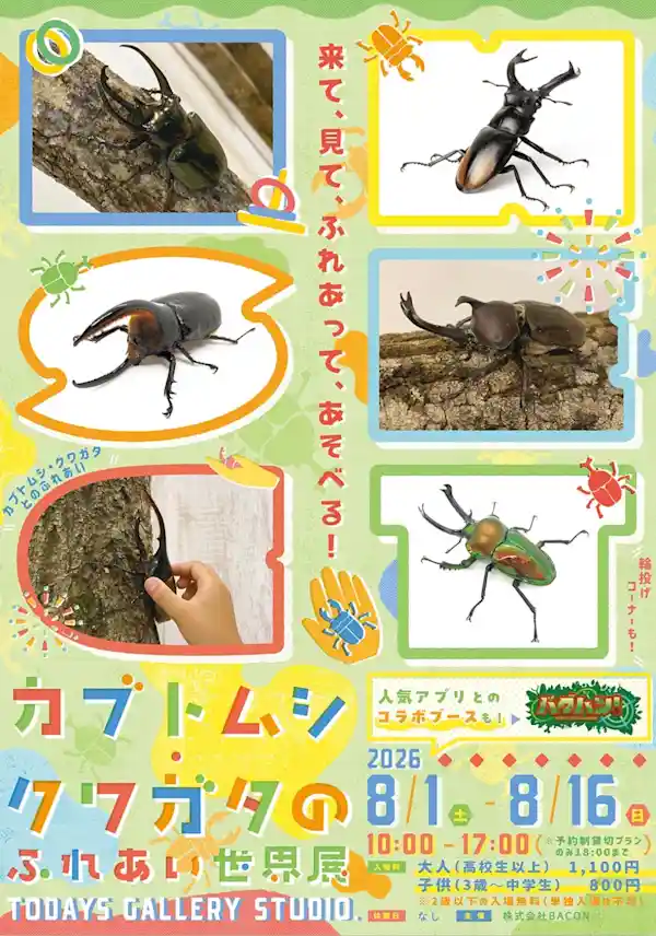 カブトムシ・クワガタの ふれあい世界展 2026（TODAYS GALLERY STUDIO.・体験・アクティビティ）