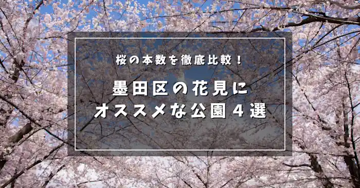墨田区の桜の本数を徹底比較！見どころ満載のおすすめ公園４選