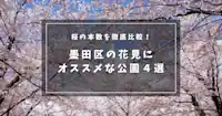 墨田区の桜の本数を徹底比較！見どころ満載のおすすめ公園４選