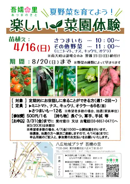 楽しい菜園体験『夏野菜を育てよう！』
