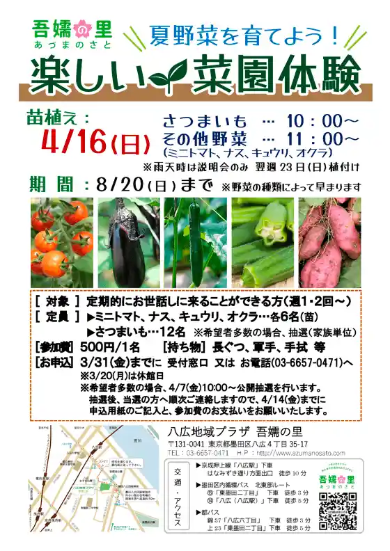 楽しい菜園体験『夏野菜を育てよう！』