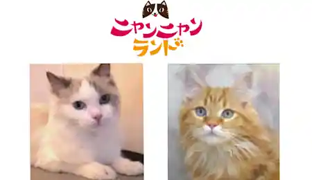 ニャンニャンランド 2026