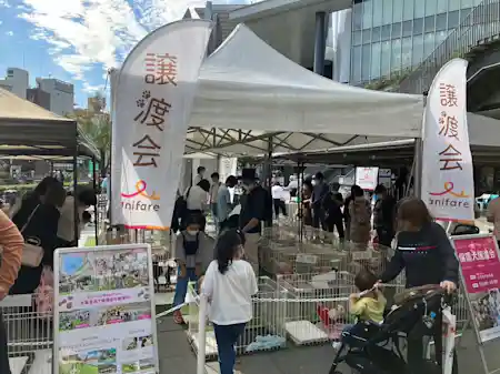ソラマチひろばに可愛いわんちゃんが大集合！ 保護犬ふれあい譲渡会に行ってきました！