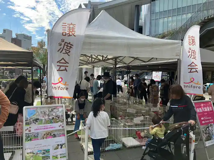 ソラマチひろばに可愛いわんちゃんが大集合！ 保護犬ふれあい譲渡会に行ってきました！