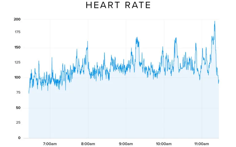 flat stage heart rate