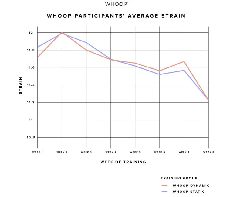 The average strain of Project PR participants decreased over time.