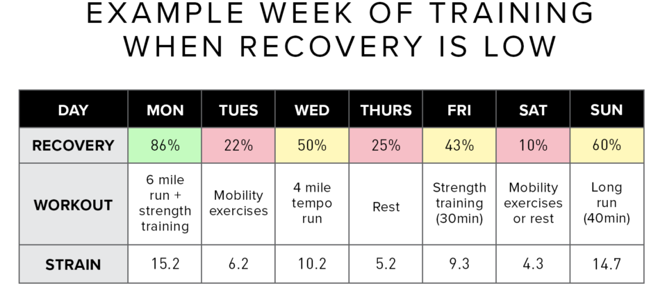 Running recovery: How to recover faster from a long run