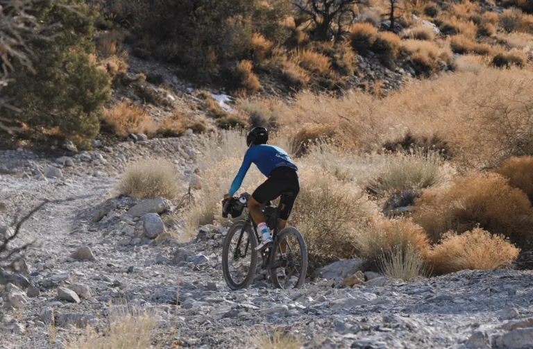 Vegan Cyclist Death Valley Day 6