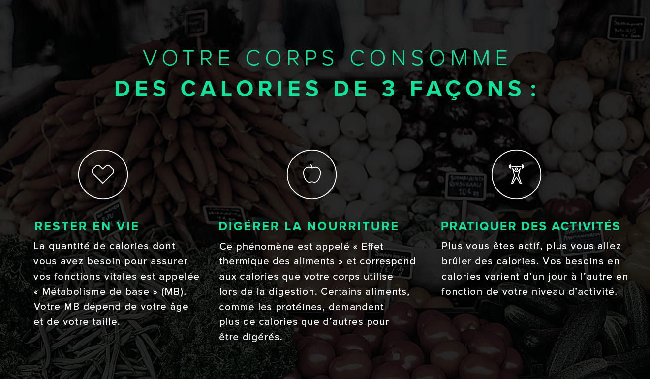 Calcul du métabolisme de base - besoin journalier en calories