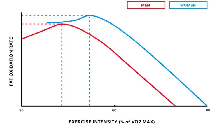 male vs female fat burning