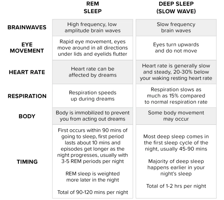 rem vs deep sleep