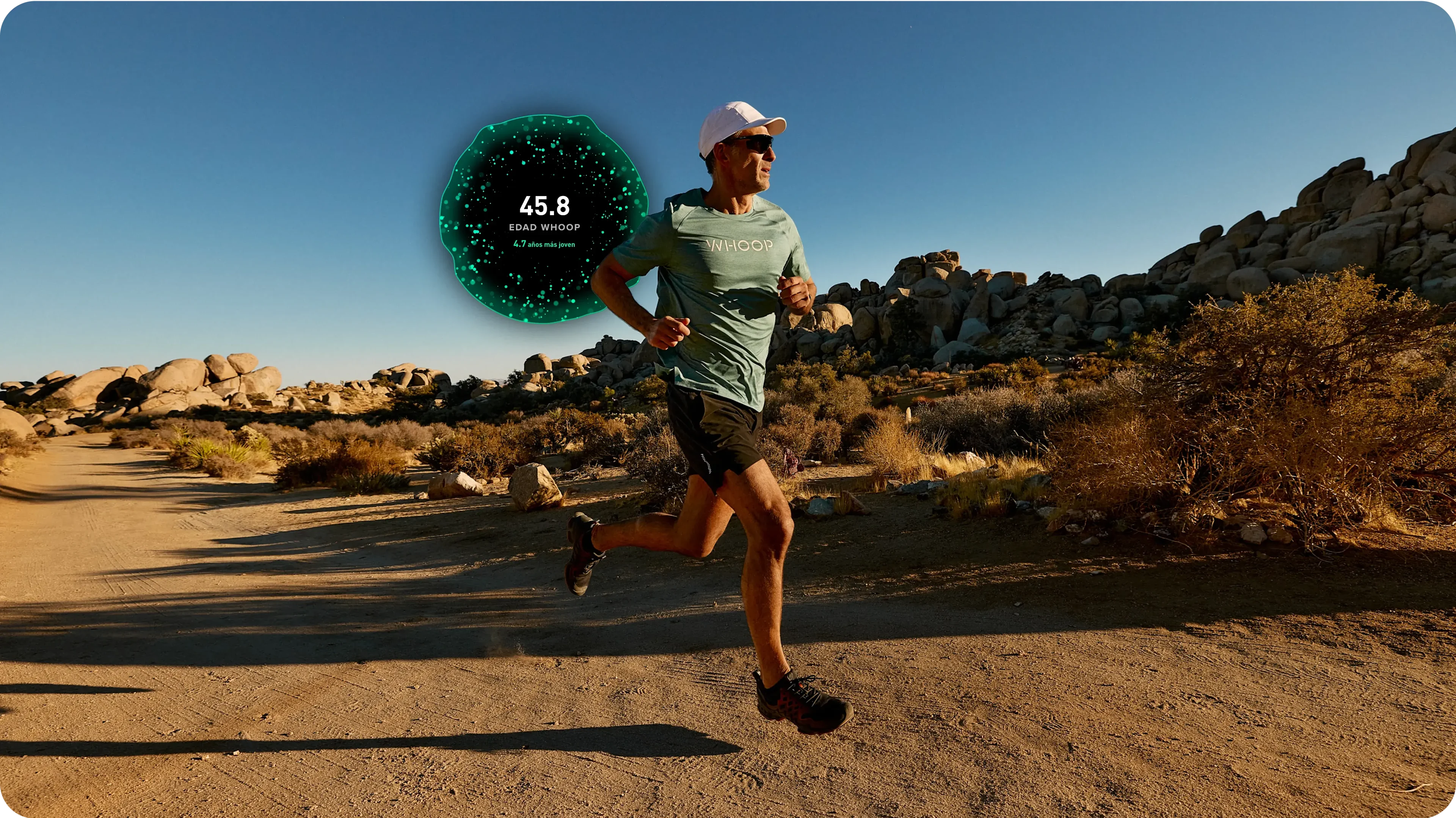 Outdoor running scene on a desert trail with a runner in WHOOP gear; a large WHOOP Age orb overlays the image displaying 45.8 and “4.7 years younger,” illustrating the WHOOP app’s biological-age metric tied to training, recovery, and long-term health.