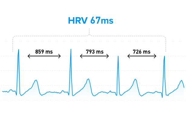 Heart Rate Variability and Sleep - Amerisleep