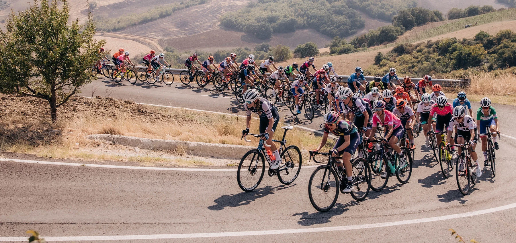 WHOOP and USA Cycling Partner to Optimize Performance of Team USA