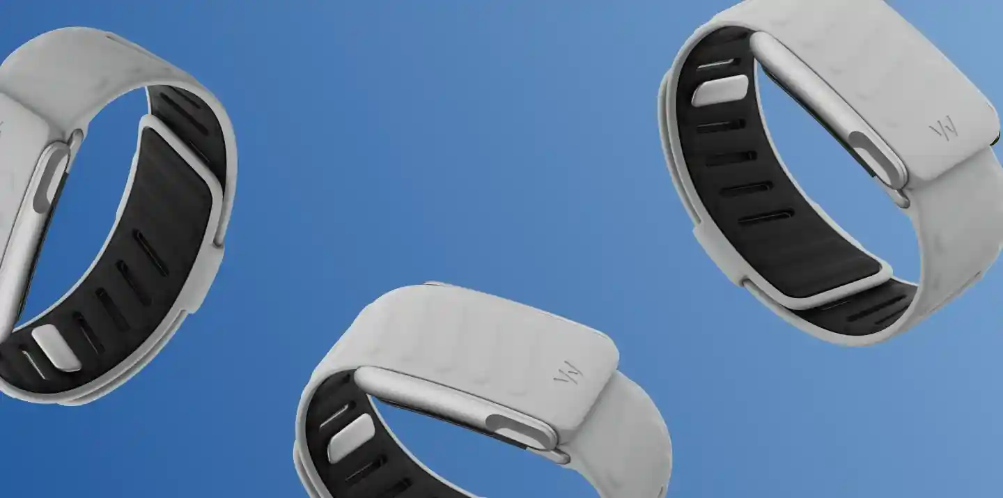 WHOOP SportFlex performance bands in light gray, showcasing flexible design, secure fit, and durable materials for continuous health and recovery tracking.