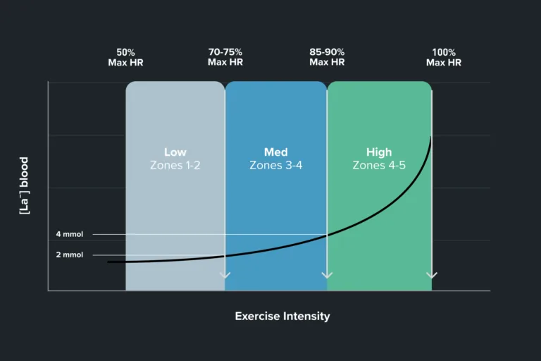Zone 2 Training Heart Rate, & Why It Matters [2023]