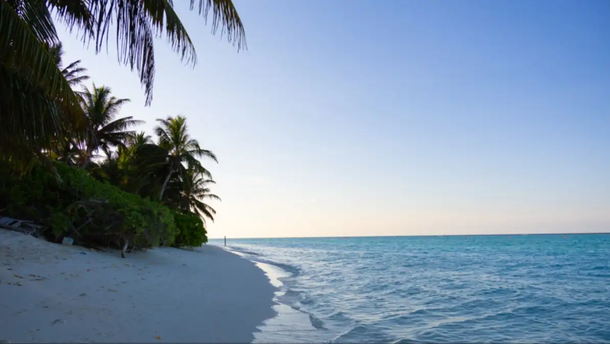 Lever du soleil sur la plage de sable blanc bordée d'arbres de l'île de Thoddoo