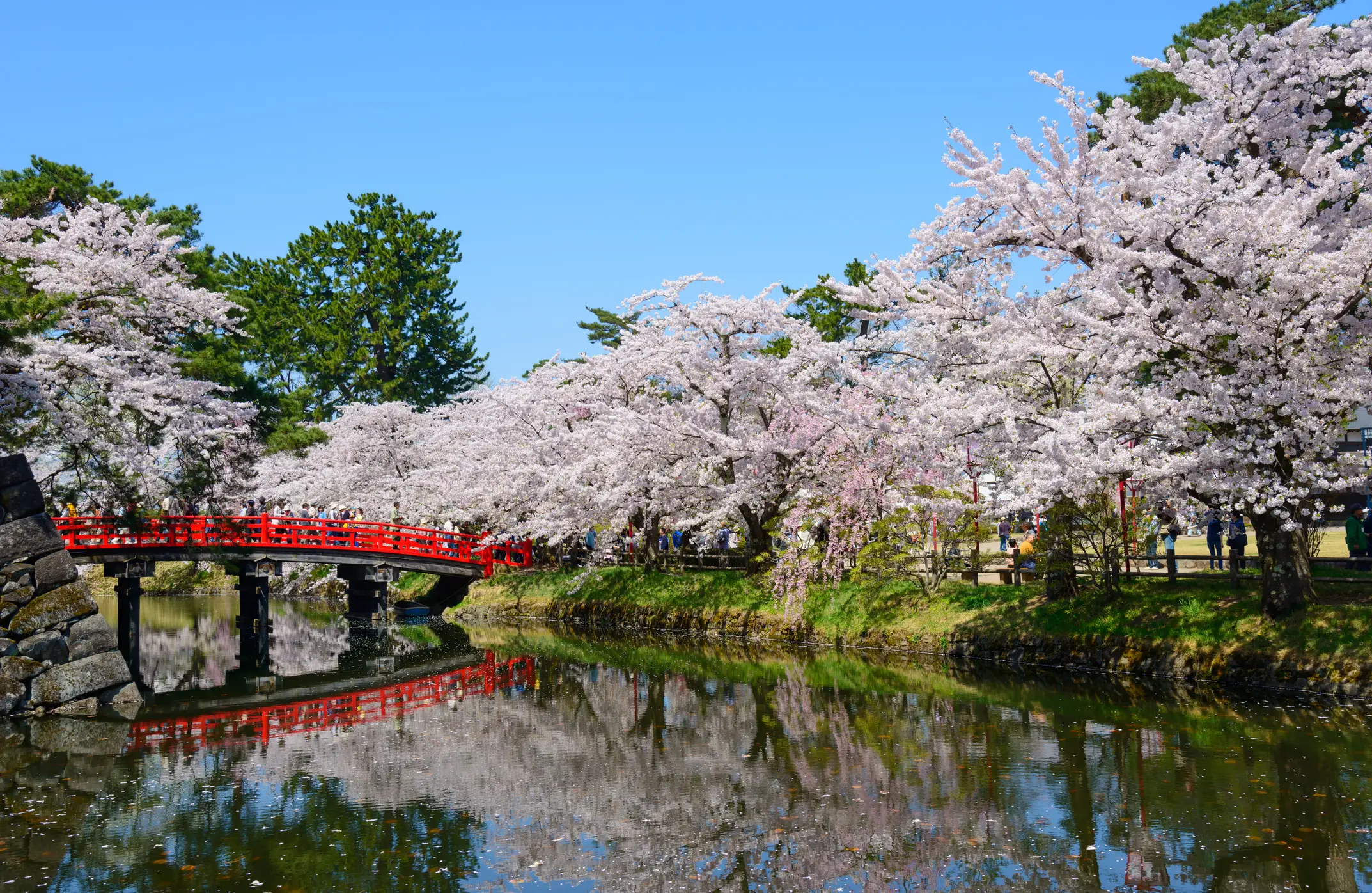 Japan, Aomori, Hirosaki Kirschblüte Hirosaki Castle Park in der Stadt Hirosaki, Präfektur Aomori, Japan.