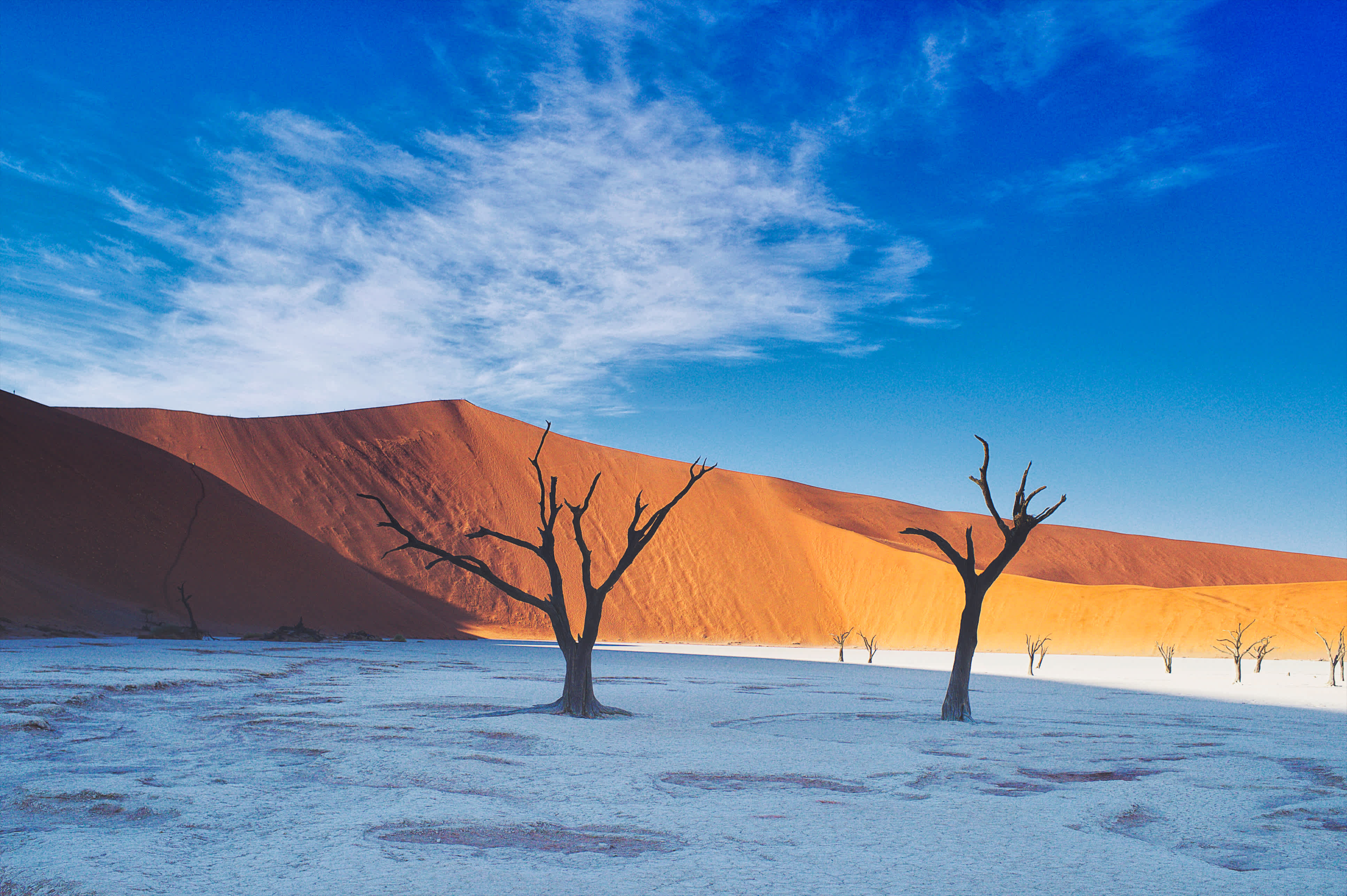 Dead Vlei Sossusvlei Namibische Wüste Namibia