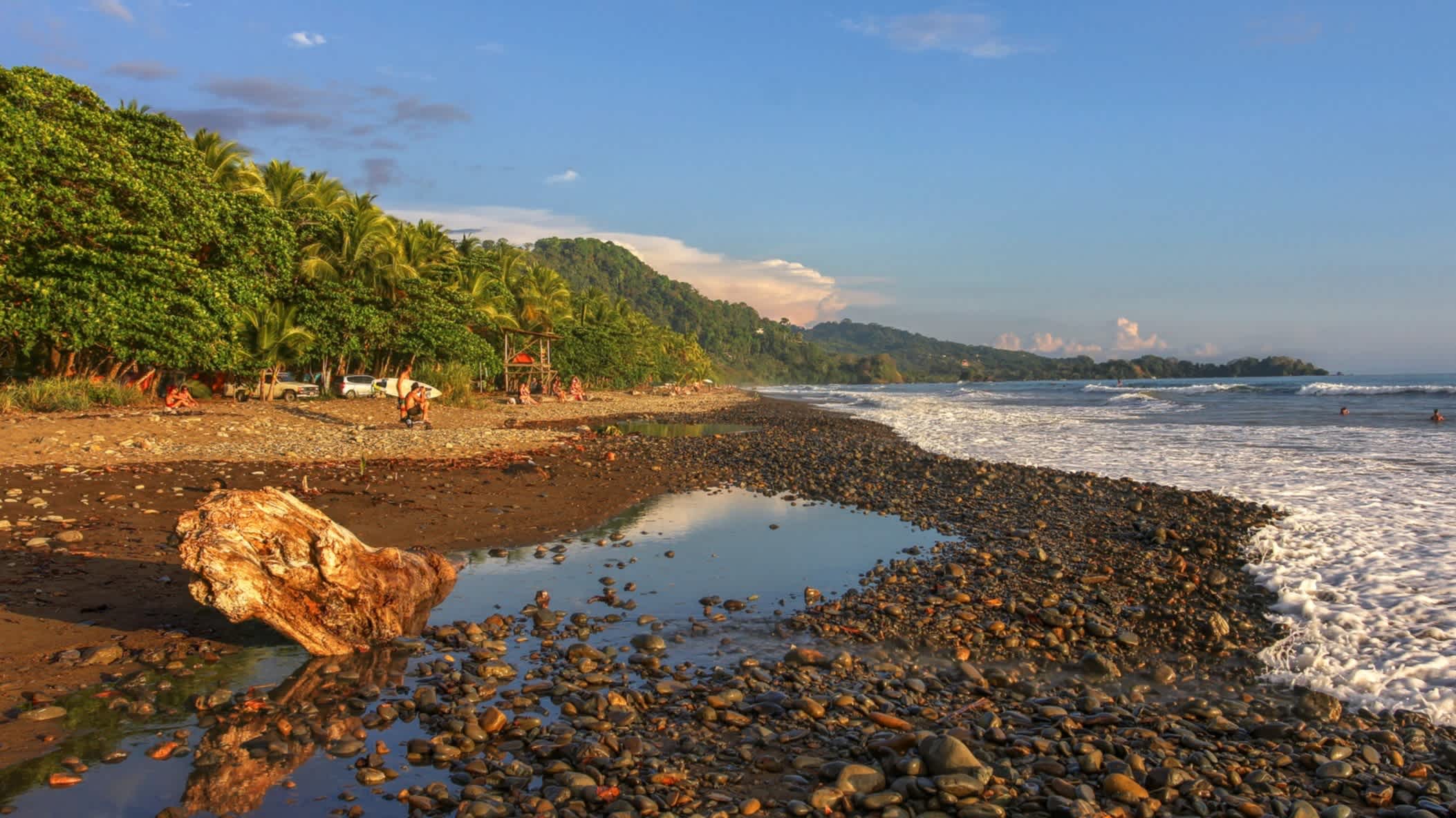 Der Strand Playa Dominical in Costa Rica mit seinem steinigen Kieselsand und Felsen sowie dem Meer im Vordergrund und dichtem Dschungel im Hintergrund bei Sonnenschein.
