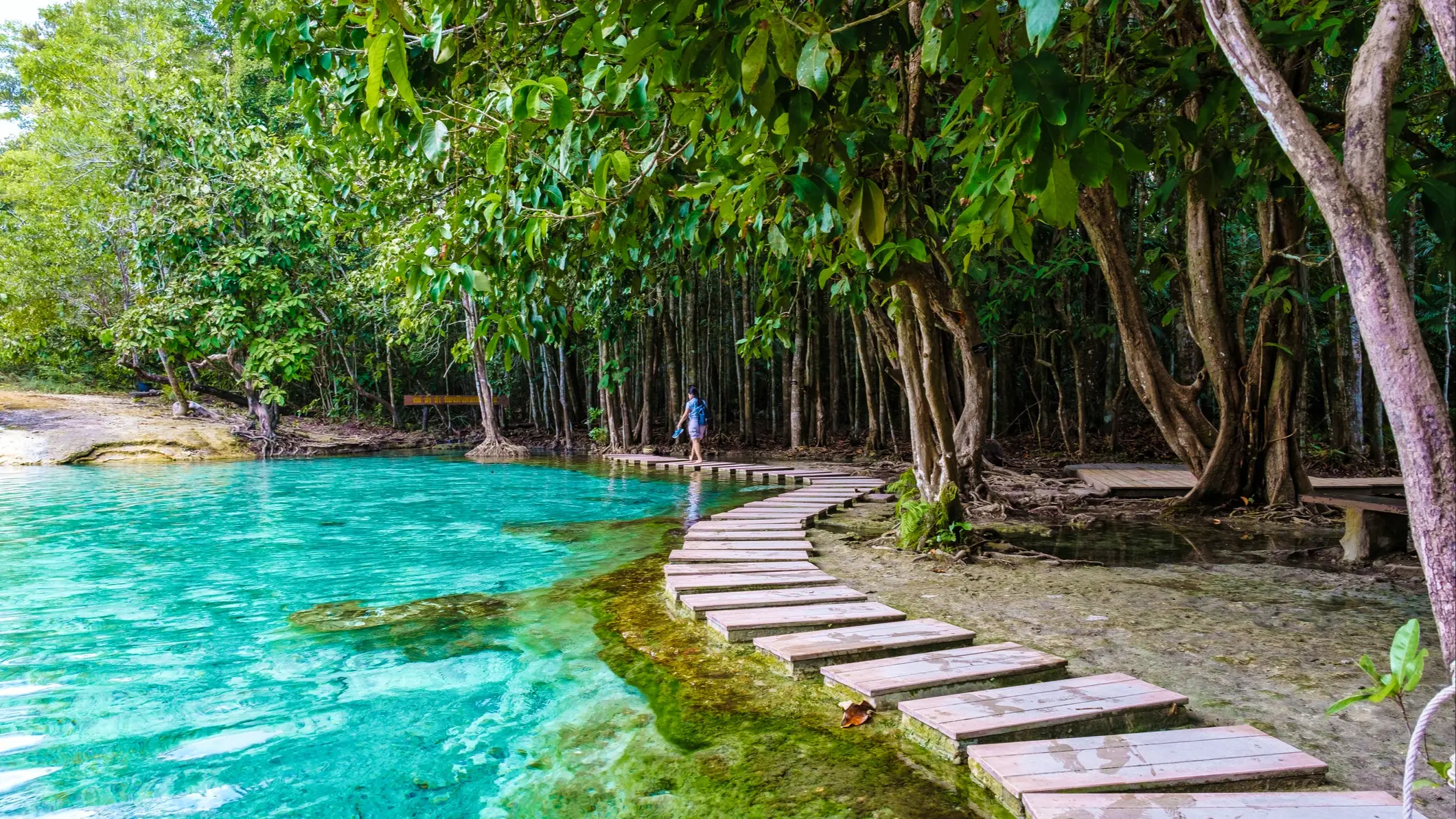 Sentier en bois longeant un lagon turquoise bordé d'une forêt tropicale luxuriante, avec un promeneur au loin.