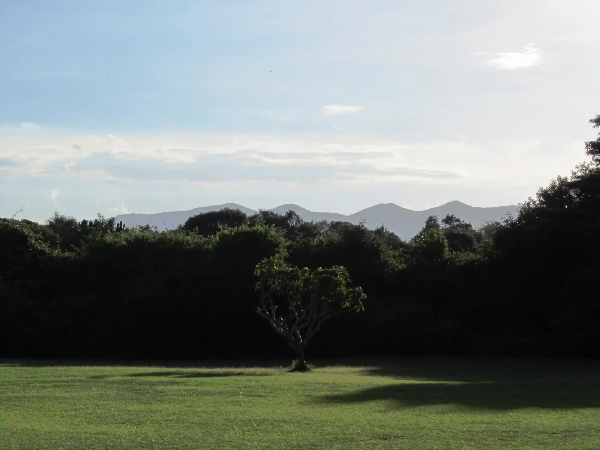 Blick auf die Natur, Karen Country Club, Nairobi, Kenia