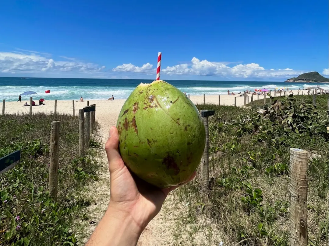 Gabriel Araujo dos Santos, Brésil