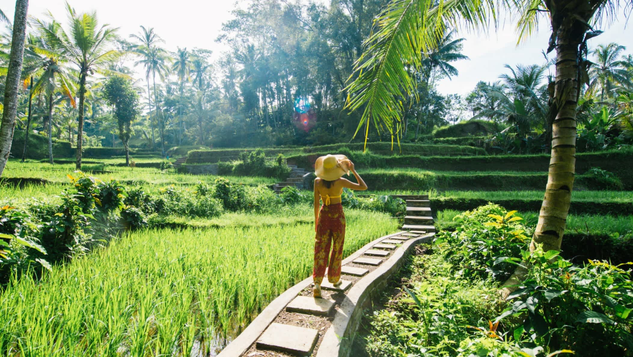 Femme tenant son chapeau sur un chemin entre les rizières en terrasses de Jatiluwih, à Bali, en Indonésie