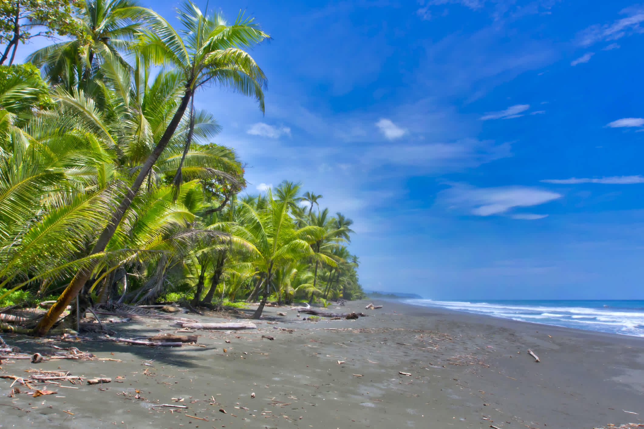 Playa Negra - plage noire près de Cahuita, Limon, Costa Rica