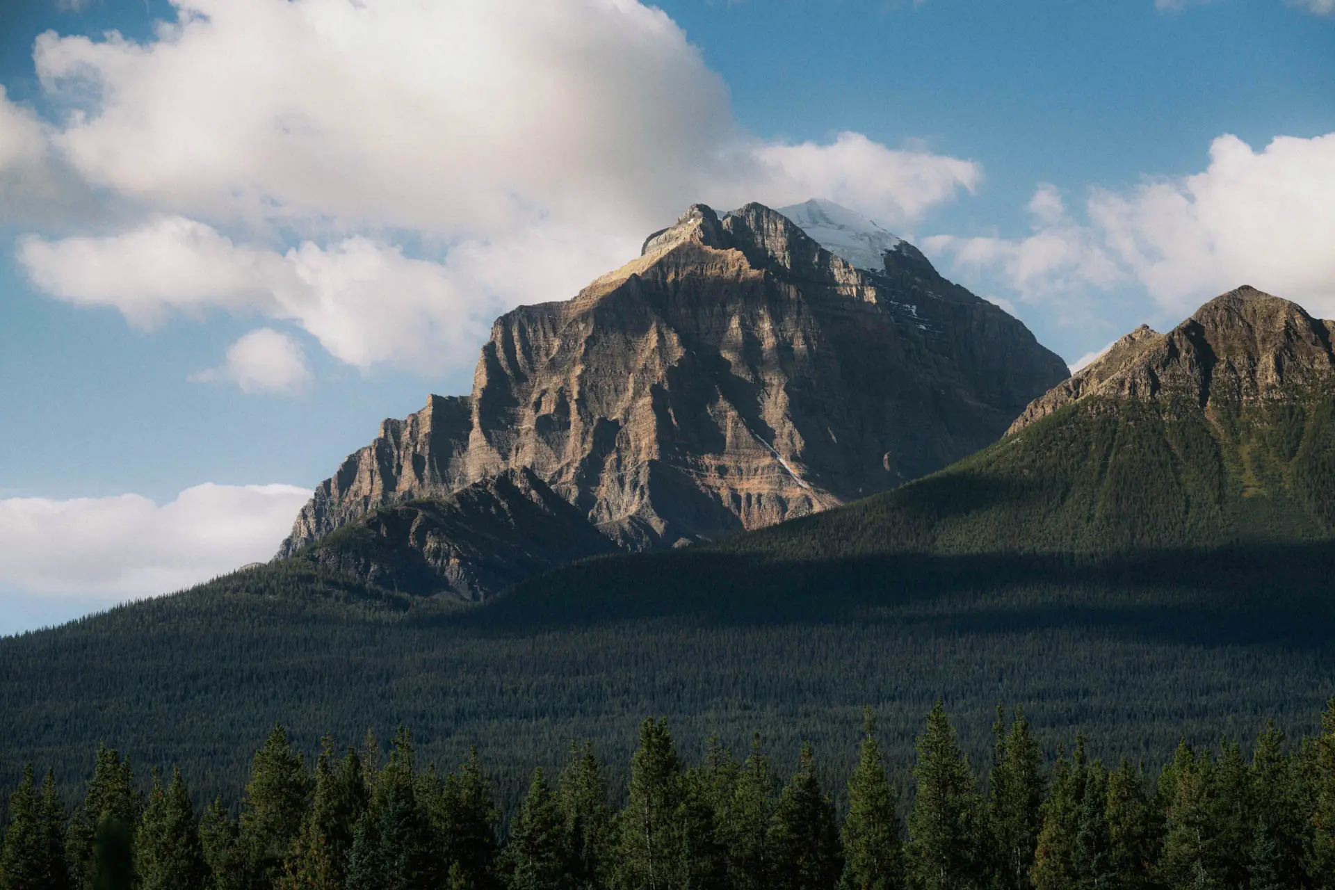 Canada Banff IcefieldsParkway 0196 - AR51189 TCG