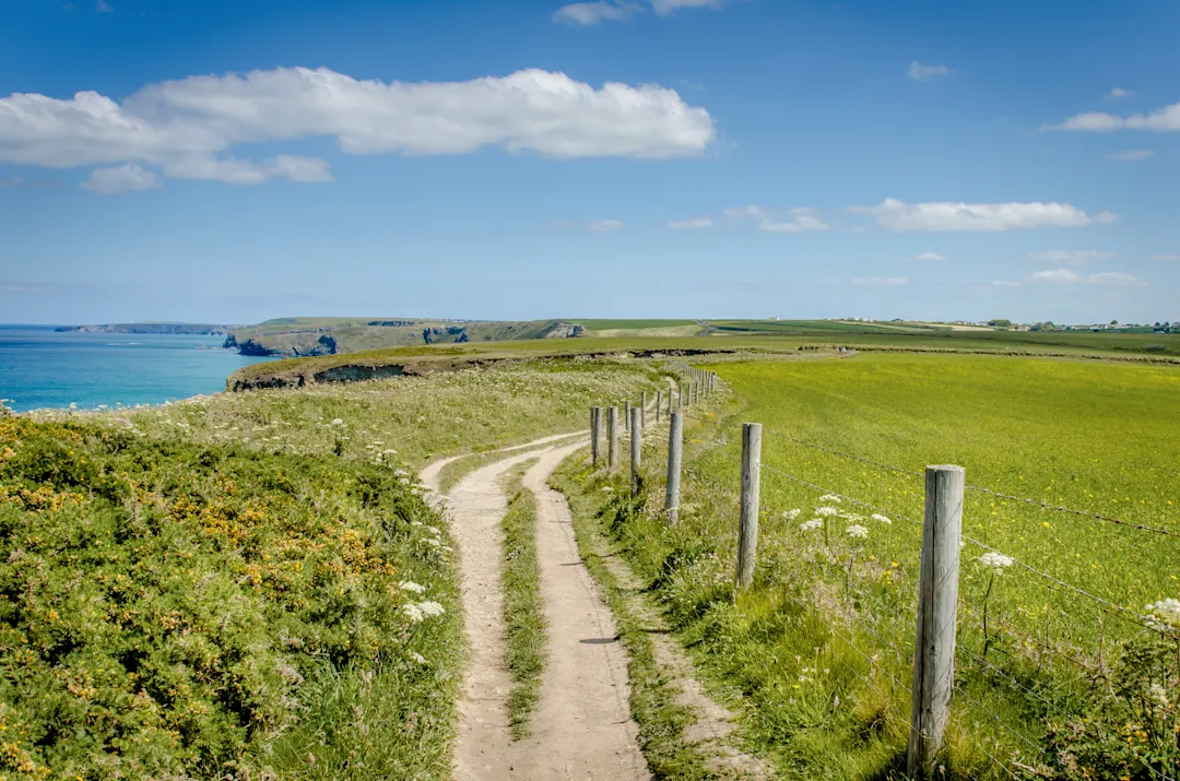 England, Cornwall, Natur
