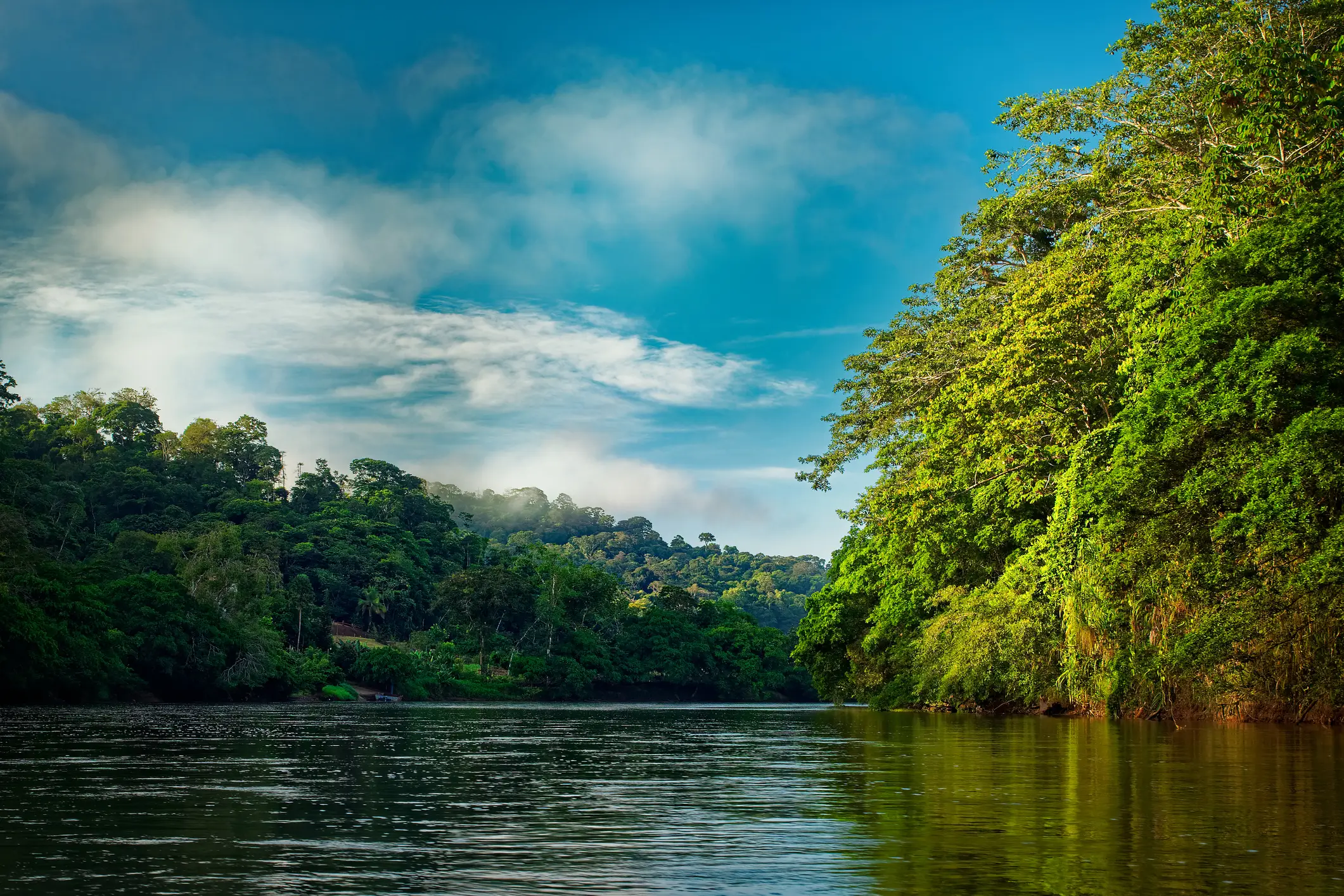 Ein breiter Fluss windet sich durch einen üppigen, grünen Regenwald unter einem strahlend blauen Himmel mit vereinzelten Wolken. Dichte Bäume säumen beide Seiten des ruhigen Wassers und spiegeln das leuchtende Grün wider.
