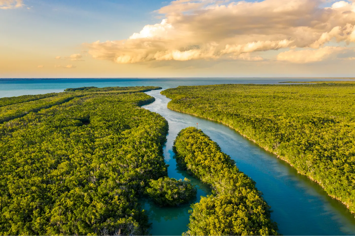 Aerial shot of Everglades, USA.