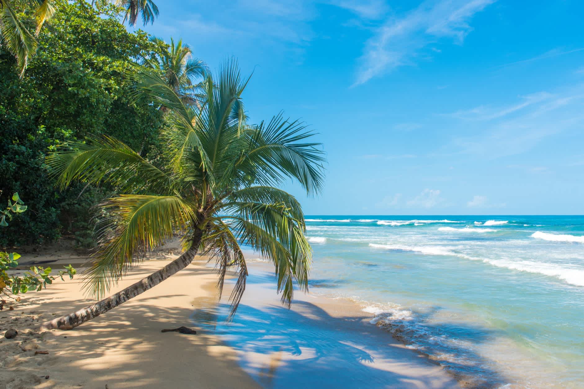 Costa Rica und Strandurlaub, das geht am besten in der Trockenzeit.