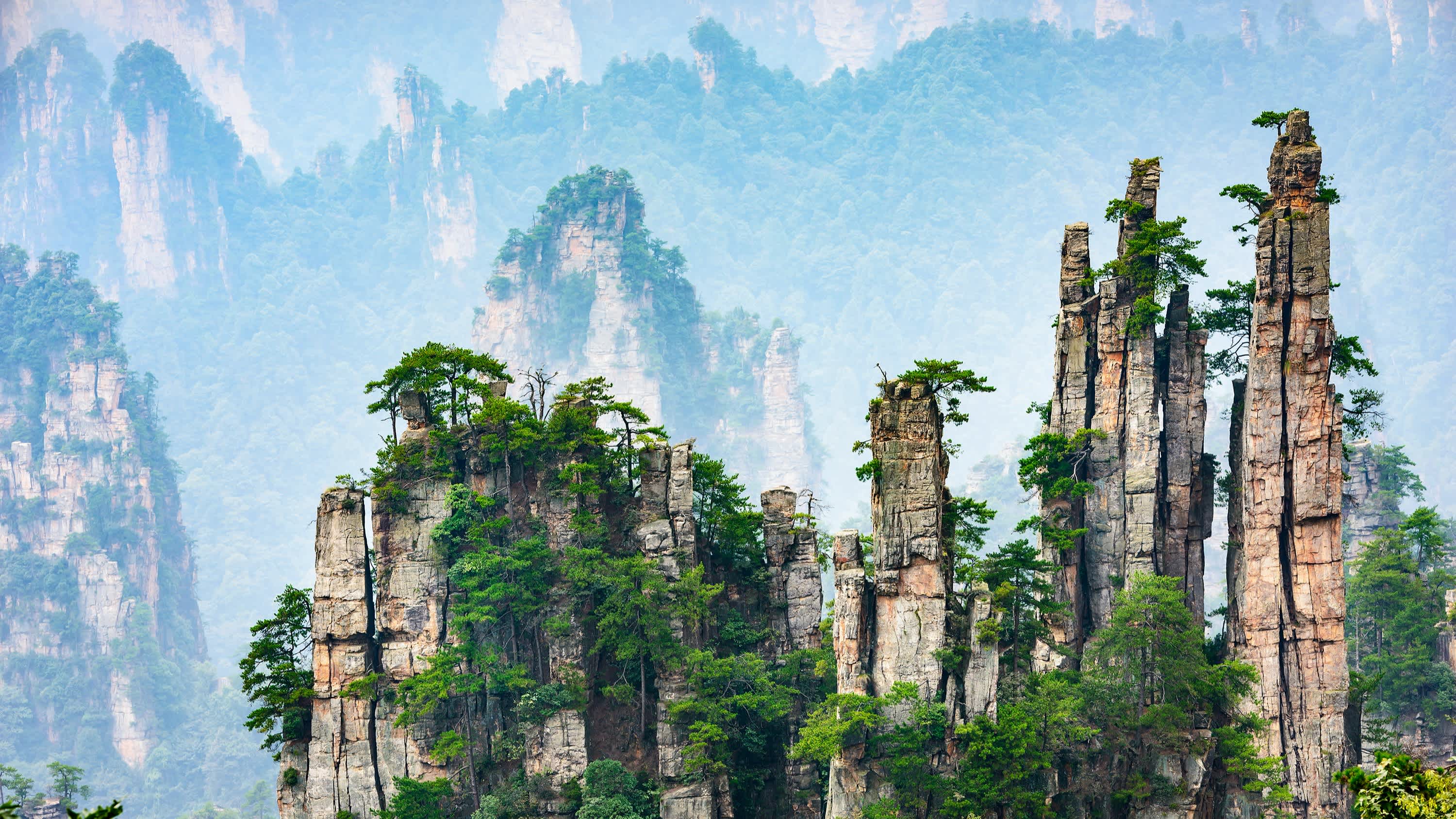 Paysage de montagne dans le brouillard, Parc national de Zhangjiajie, en Chine