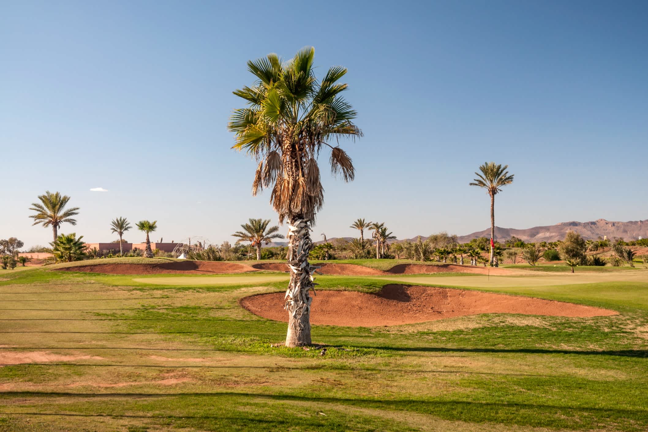 Golfplatz mit Palmen in Marokko